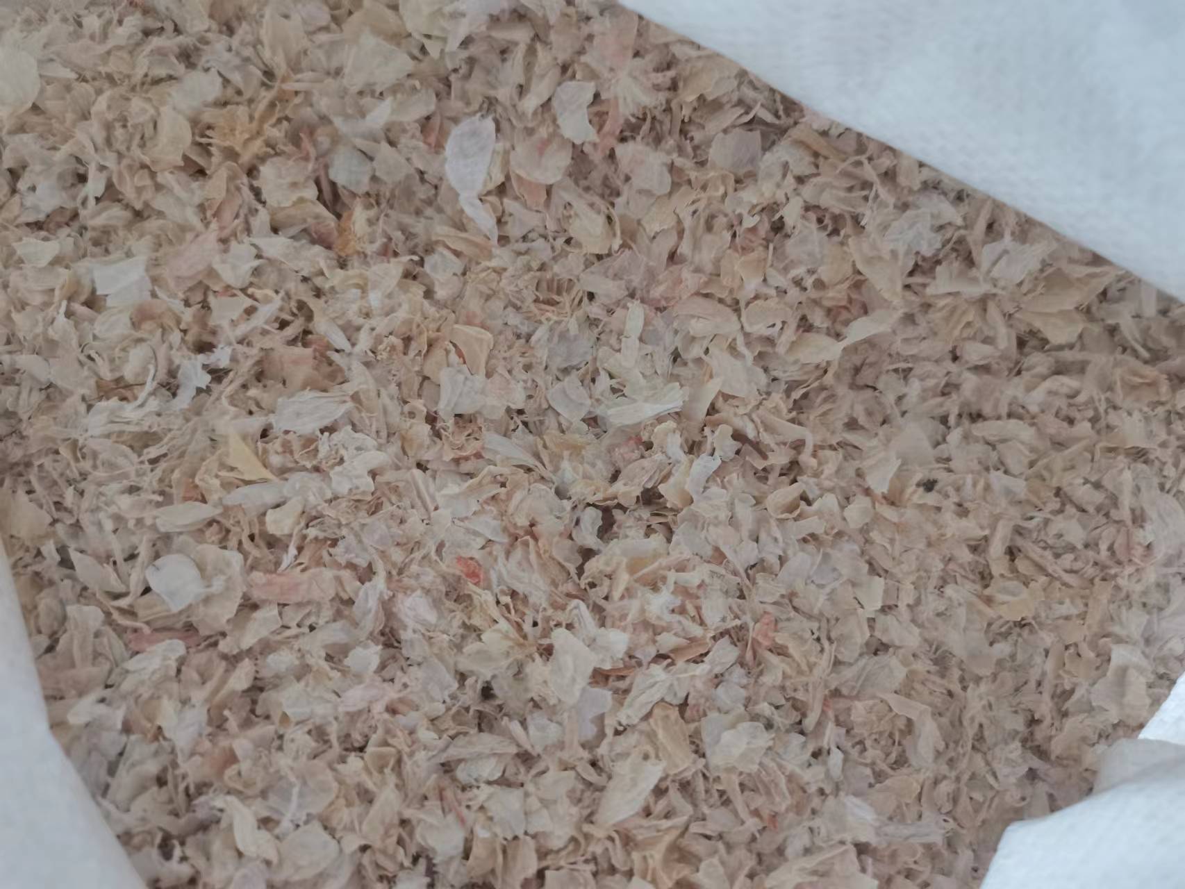 5001��˹ά��˹(�й���)���޹�˾-BinG�ٿ�